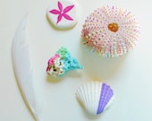 Beach Finds 6 Piece Collection, Home Decor - Beach Cottage, Neon, Pastel, White, Minimalist, Coral, Feather, Light, Painted Seashell, Urchin