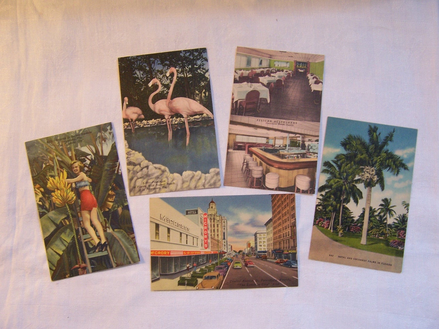 Vintage Vacation Travel Florida Postcards Ephemera - Five in Lot