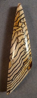 Hells Canyon Petrified Wood Cabochon
