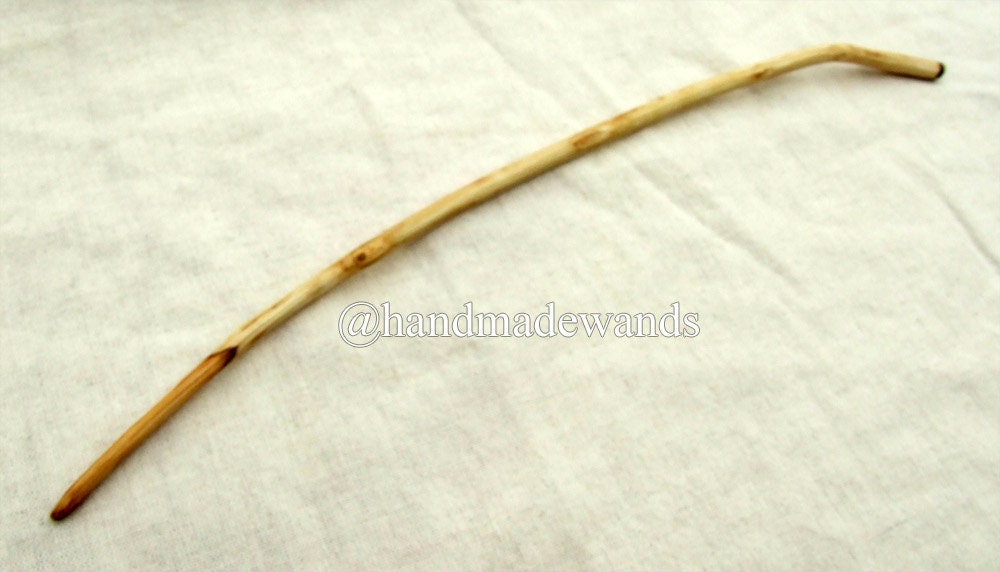 Sweet Chestnut Wand 02 (286 mm)