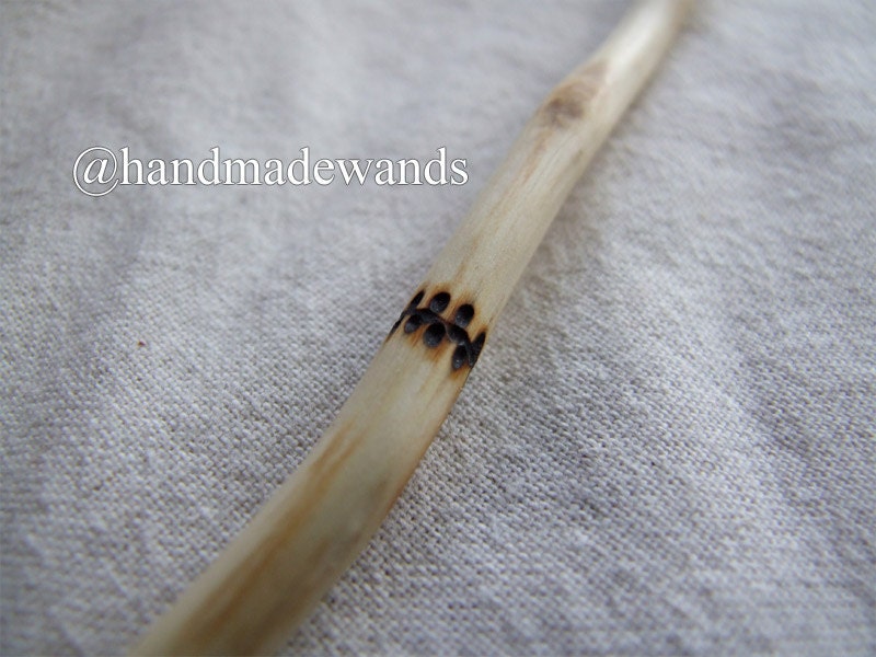 European Pear Wand 02 (255 mm)