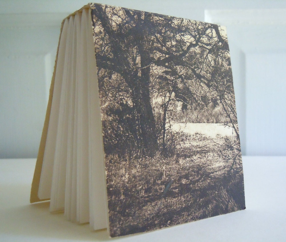 Mini Handstitched Blank Paper Book Journal- Tree Cover Art- 30 Blank Pages-Original Photo Intaglio Cover Art