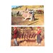 Saddling Up Big Jack - Vintage Postcard