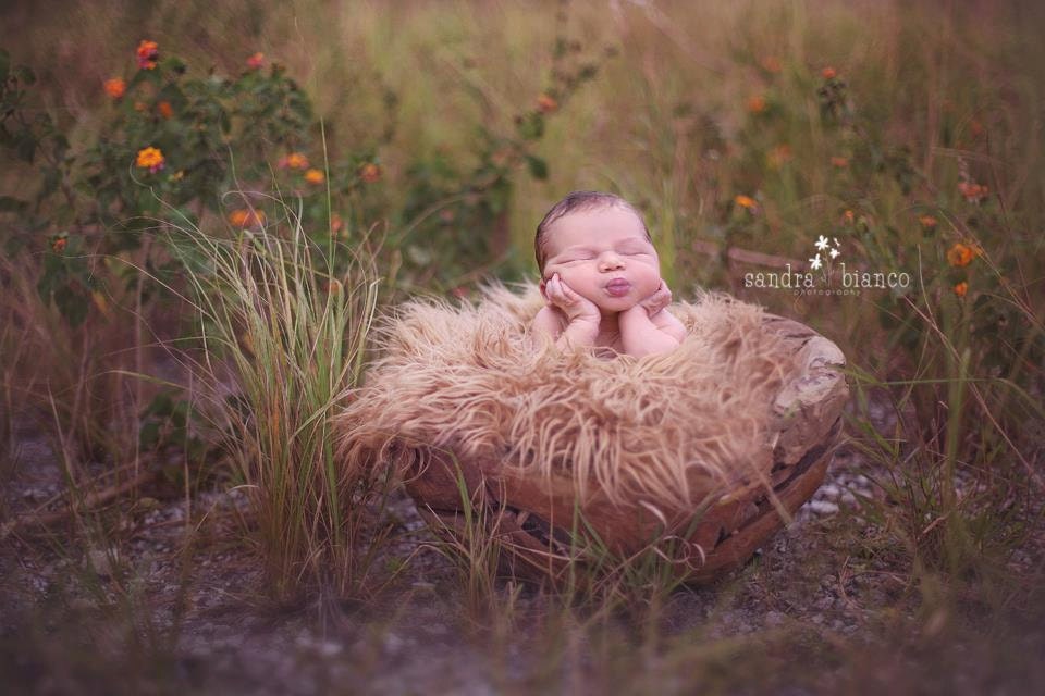 SALE - Leighton Heritage Camel - Soft, Cozy, Cuddly Faux Fur Nest - Perfect Newborn Photography Prop - Plush Long Pile