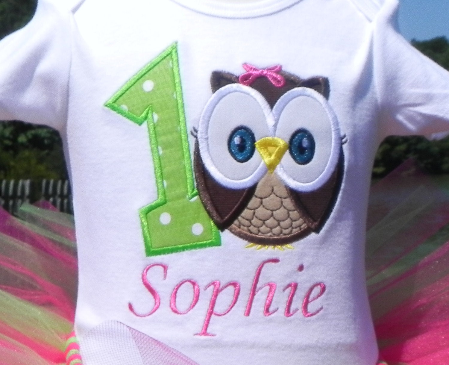 1st Birthday Owl - Owl Birthday - Owl Petti Tutu Outfit - w/Child's Name w/ Lg Bow