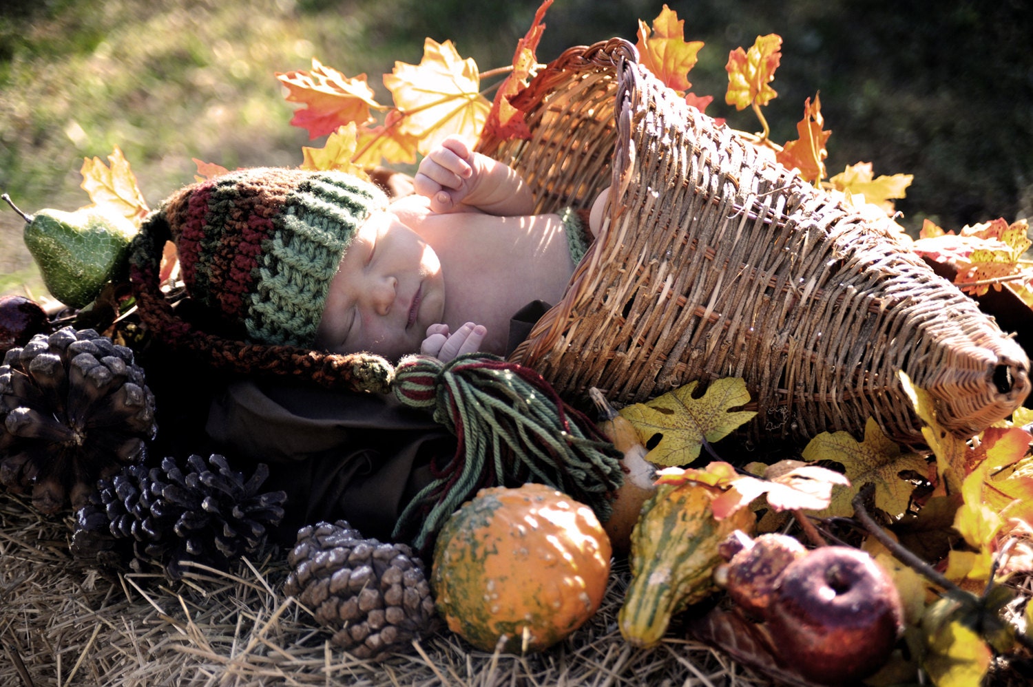 Fall Leaves Elf Pixie Hat Newborn Baby Crochet PHOTO PROP