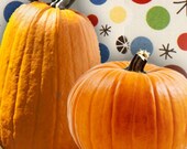 Etsy Banner Shop Banners Avatar Set - Retro Stars Pumpkins Custom Logo Professional OOAK - halloween, star fabric, pumpkins, retro fabric