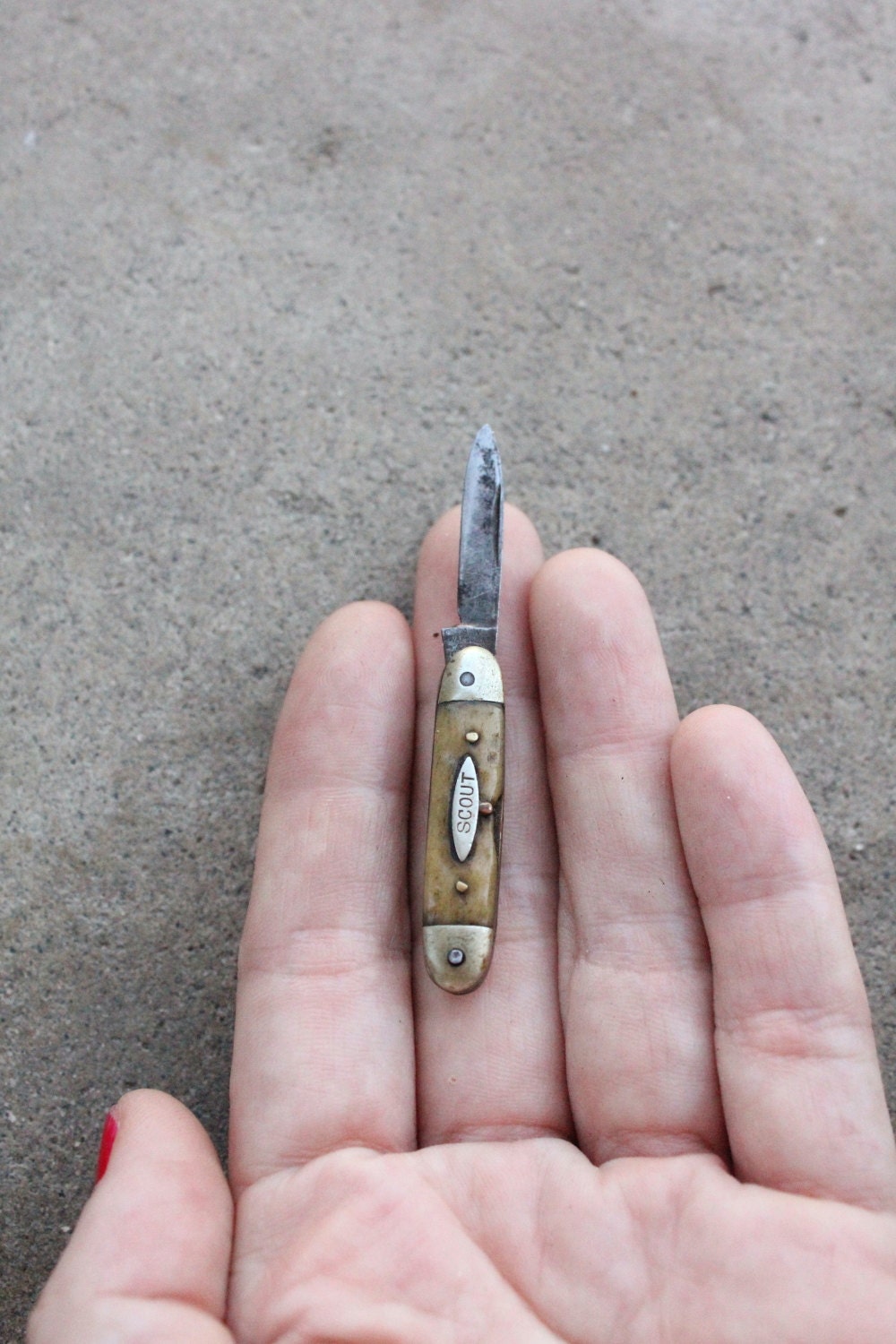 Antique 1895-1922 Miniature Scout Pocket Knife by A.W. Wadsworth & Son, made in Germany