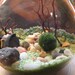 Marimo - Reclaimed Light Bulb Aquarium with Living Moss Ball