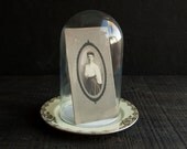 Display Cloche with Ceramic Floral Base