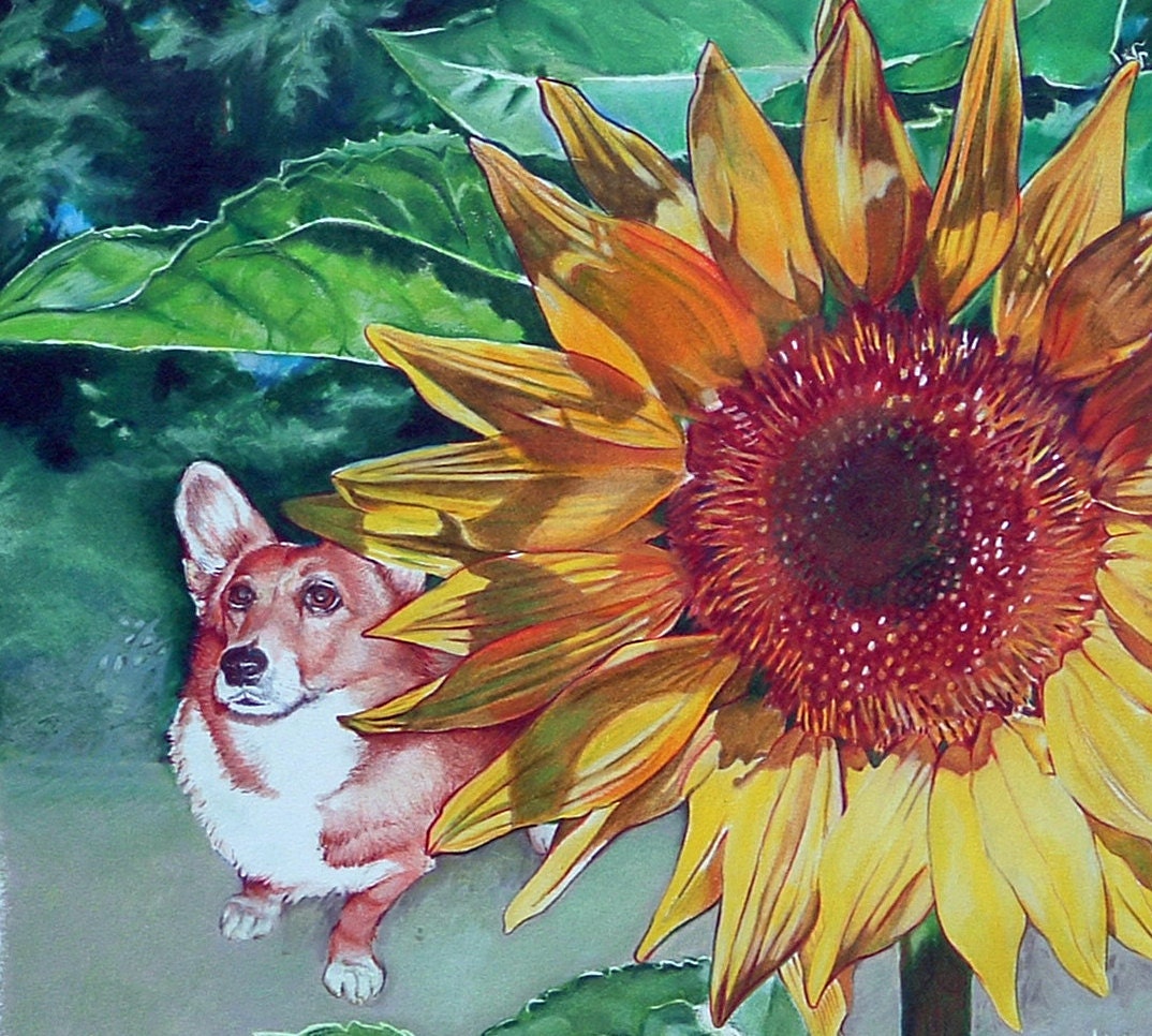 Welsh Corgi and Sunflower, Framed Original Painting by Margi Hopkins of Pepper Portraits LLC