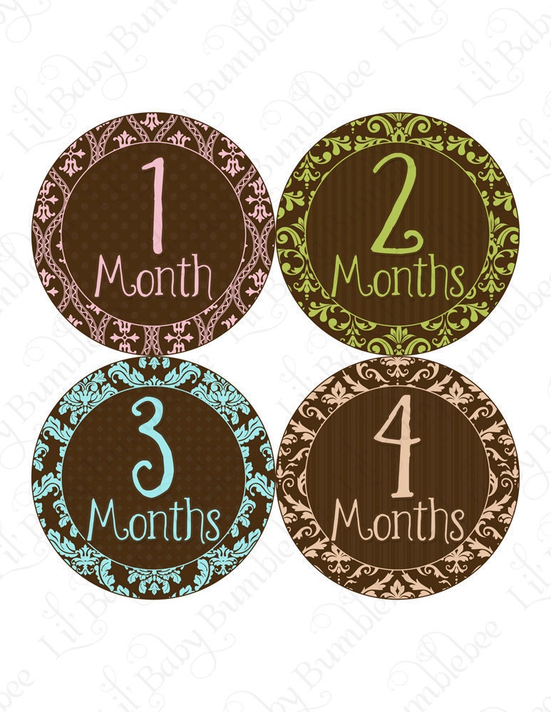 Monthly Onesie Stickers - McKenna - Preppy Damask in Pink, Green, Blue, and Tan - Great Baby Shower Gift and Photo Prop Baby Month Stickers