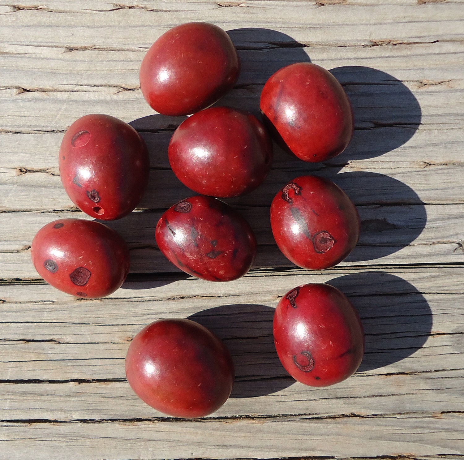 Buriti Nut