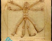 Vitruvian Man - Framed Limited Edition Print
