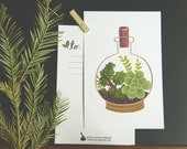 Terrarium Cork Bottle 1pc