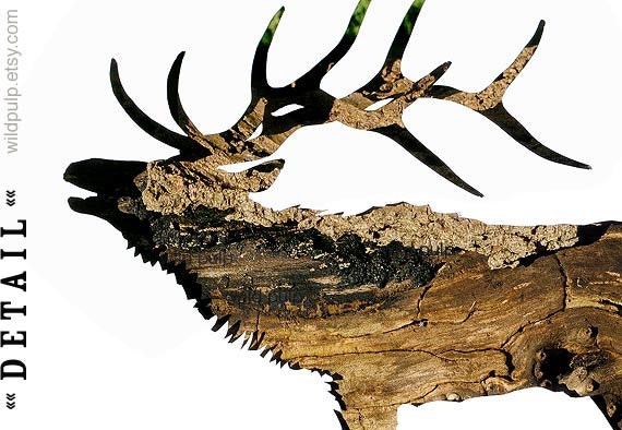 Elk Silhouette In Bark, Wall Art Decor : Woodland Animal Photography - Nature Theme Nursery, Rustic Lodge & Home