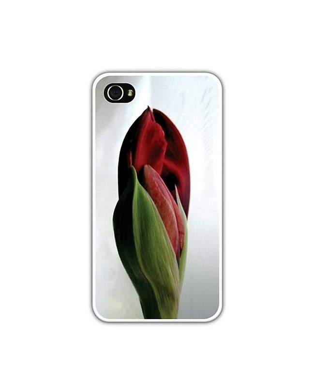iPhone 4/4S or 5 Case,  Amaryllis Bud, Loves Paris Studio,  Fine Art Photography , Flower iphone Cover,  Minimalist  Macro Modern