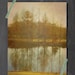 Nature Photograph, Trees Photograph, Trees Reflection Nature Photography, Rustic Tree Photo