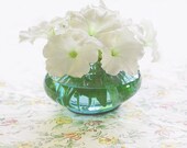 minimal summer white petunia turquoise vase on picnic tablecloth photograph 8 x 8