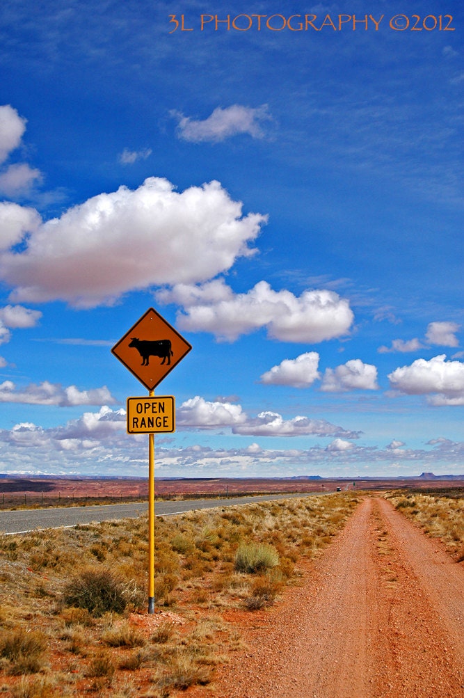Landscape Photograph,Rustic Home Decor,Travel Photography,Cow,Road Sign,Clouds,Blue