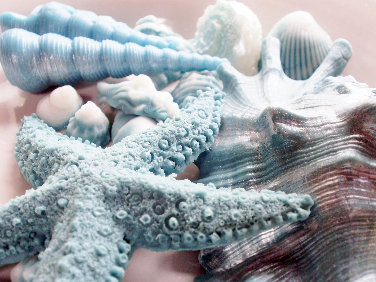 SOAP, Teal and White Opalescence Beach Shells Gift Set Scented in Coconut, Vegetable Based