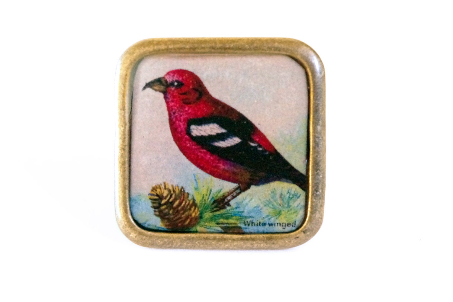 bird ring, red bird, fall,woods, 1,1'' inch gift under 30, free shipping, square, nature theme, retro look, forest