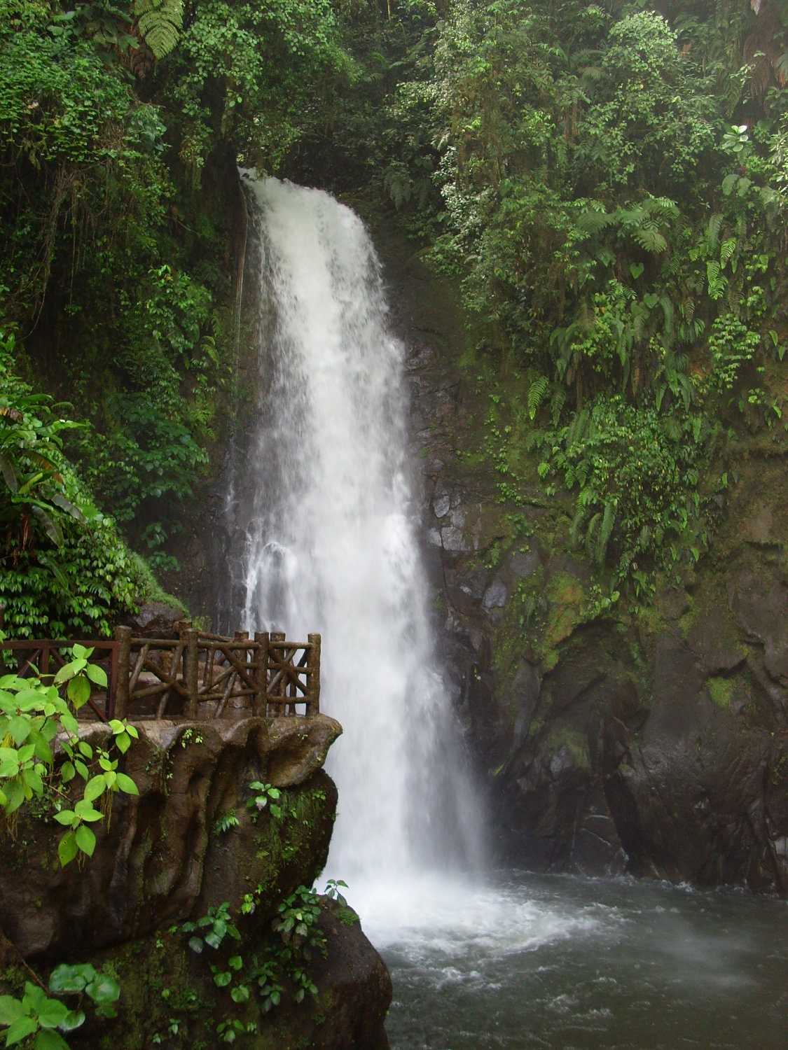 Costa Rica - Magia Blanca - La Paz Waterfall Gardens - Magnificent - Rainforest - Jungle - NTodoroff