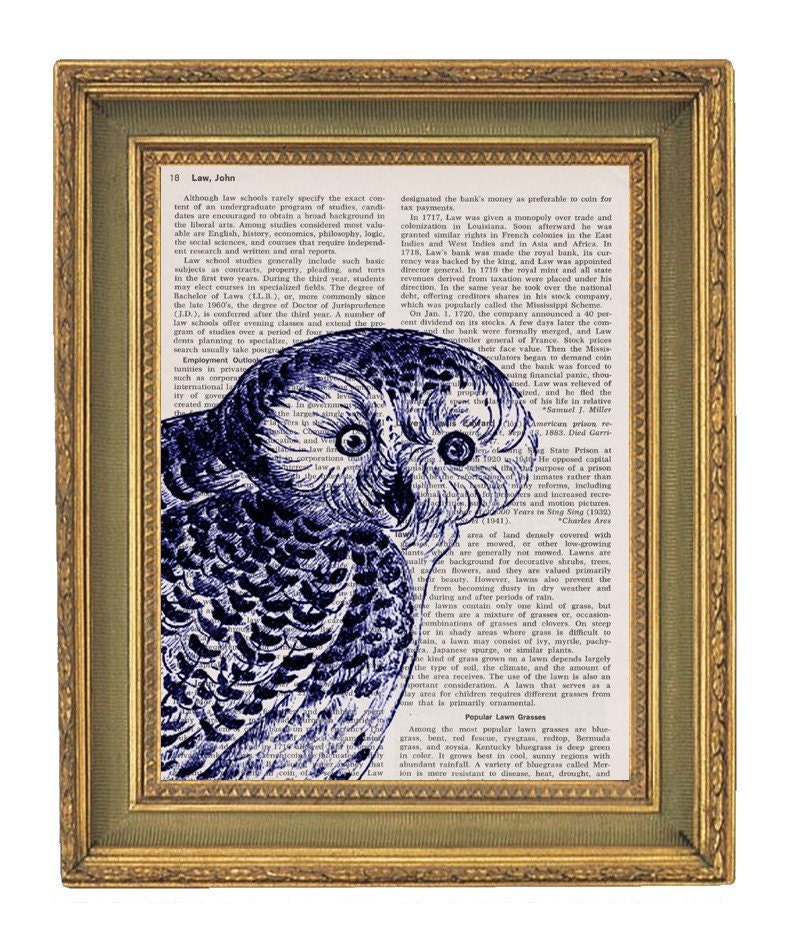 Blue Owl Vintage Dictionary Print  8x10