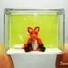 0.8 Inch Miniature Fox - Mini Amigurumi Crochet Tiny Animal Doll - Made To Order