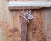 Alphabet Letter T Photograph Digital Wood Industrial