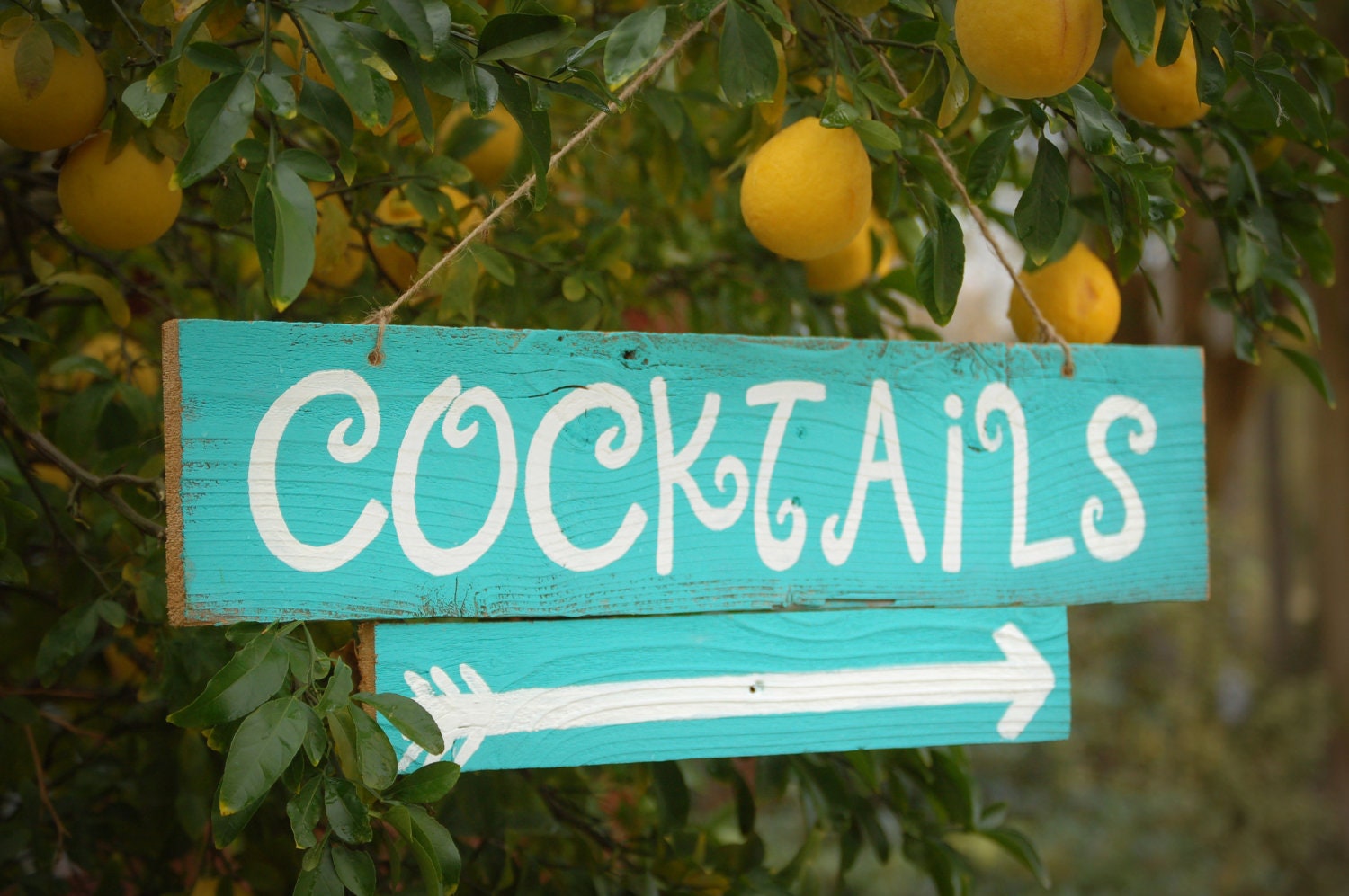 Cocktails Sign Hand Painted Teal Blue Wedding Signs Party Bar Sign Wooden Reception Decorations. Outdoor Wedding Decor