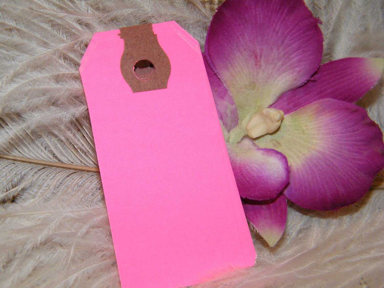 Dollar Sale / 20 Neon Pink Gift Tag- 2 3/4" by 1 3/8" Florescent Parcel Hang Tags Packaging Supplies-Stamping Crafting - Reinforced Hole