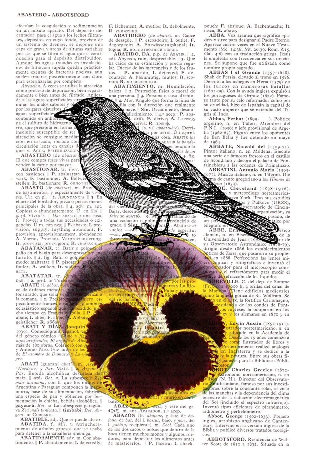 Book page print sparrow and Pansie Print on Vintage Dictionary Book page-collage art print
