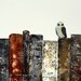 Sweet Owl Bird Print (8 x 10) Birds and Books series