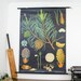 Vintage Botanical Chart, Pine Tree, Jung Koch Quentell School Pull Down Chart