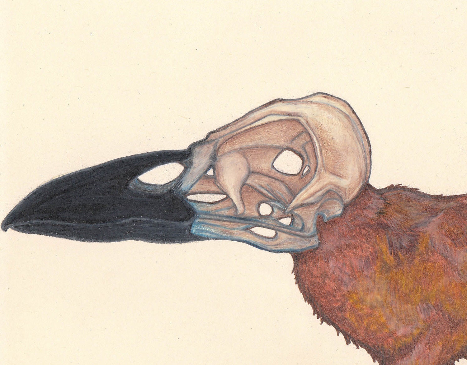 English Crow Hare Print Limited Edition of 50