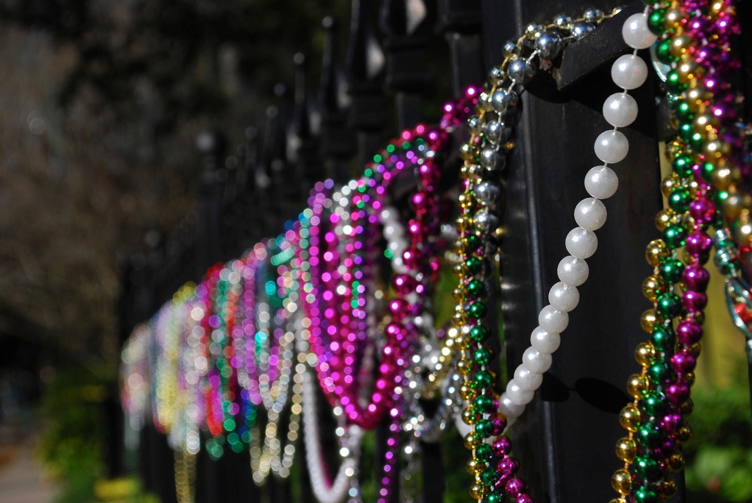 New Orleans Mardi Gras beads on fence 5x7 print