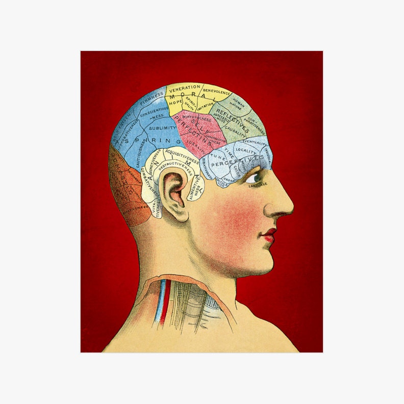 Victorian Phrenology - Vintage Medical Anatomy - 8x10 Wall Decor Red Art Print