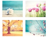 Four Seasons Photography Set - 4 8x10 Nature Photographs - winter spring summer - fall autumn - 4 seasons art prints - aqua blue orange pink