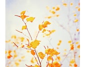 Fall Photography - autumn leaves nature yellow purple lavender print gold pastel pale branches wall art - 8x10 Photograph, "Autumn Dream" - CarolynCochrane Fall Photography - autumn leaves nature yellow purple lavender print gold pastel pale branches wall art - 8x10 Photograph, "Autumn Dream" - CarolynCochrane