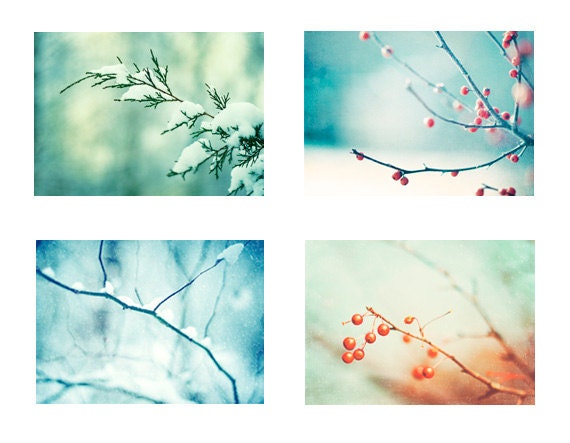 Winter Photography Set - Four 8x10 Photographs - blue mint green teal aqua turquoise red orange berries berry branches snow branch photo set