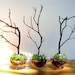 Modern Globe Manzanita Forest Moss Terrarium