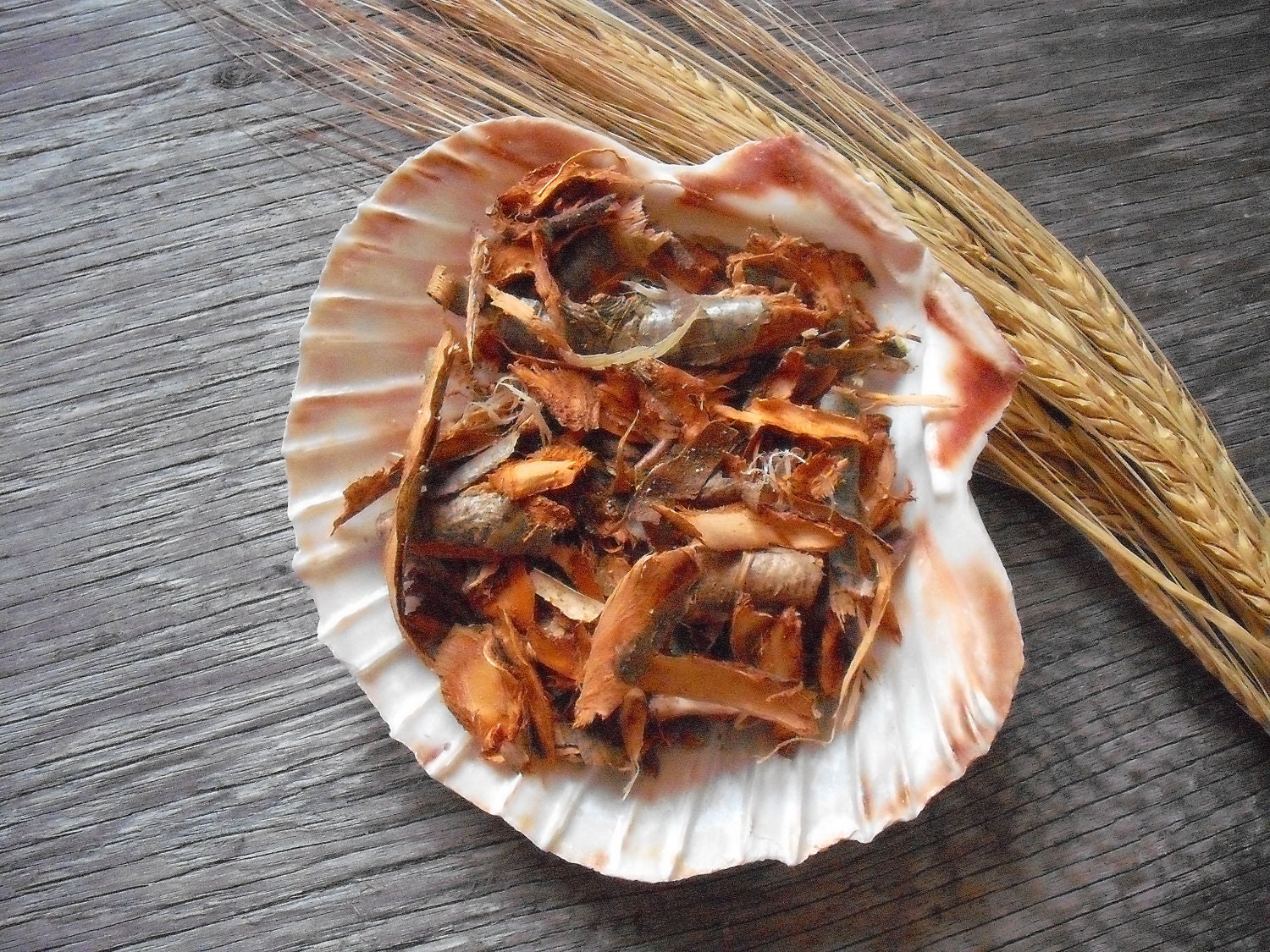 Rowan bark Scottish wild harvested