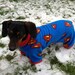 CUSTOM Superman Superhero Dog Fleece Pjs Pajamas Coat