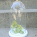 Crystal Topped White Display Cloche Wedding
