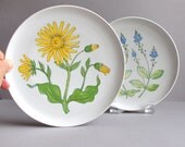 Rorstrand "Flora" Plates - Sweden