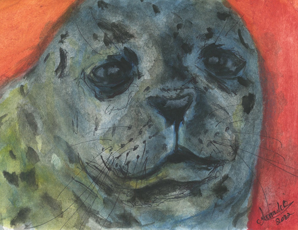 Harbor Seal Portrait Print