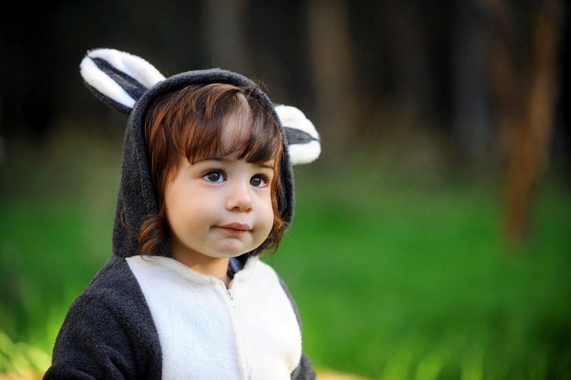 Raccoon Boy