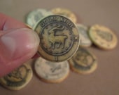 Wizard Coin Cookies - Pre-Printed Frosting Sheet
