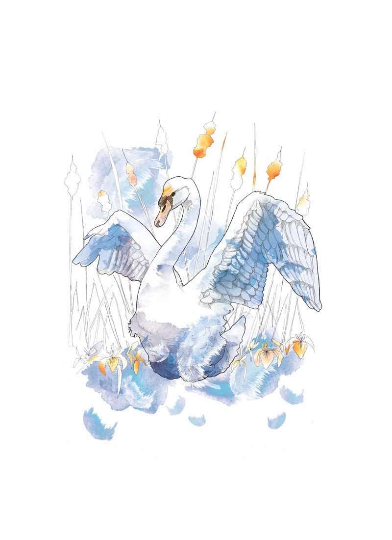 Watercolour Swan // A3plus // 19x13 Print